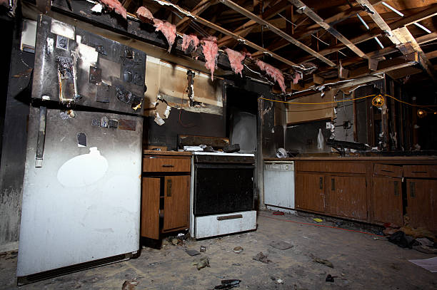Licensed Odor Removal service in Cross Roads, TX - Meridian Smoke Damage